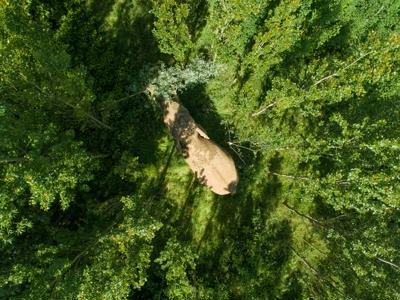 African Elephant - 2 Drone